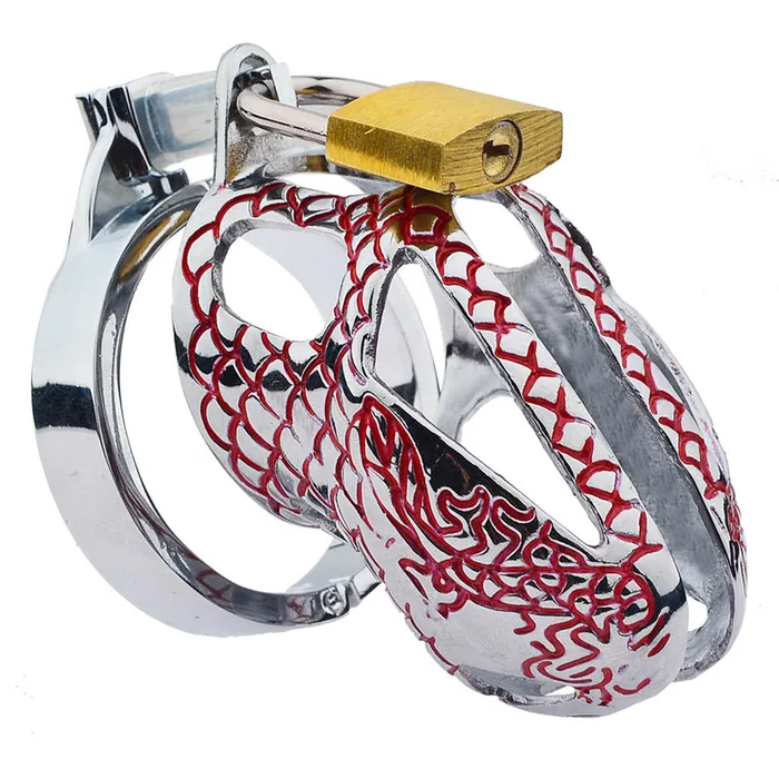 Male Sex Toys Male Chastity Device Men Bird Lock CB6000S LoveLife SexToys